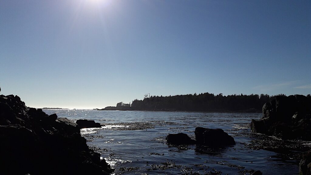 Ocean-edge rock pools at Hot Springs Cove, Maquinna Provincial Park